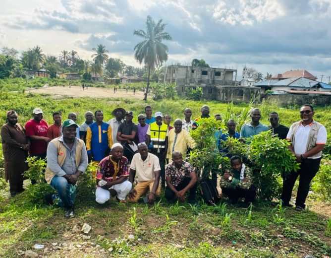 Healthy Soils, Stronger Food Systems: How Science Is Powering Sierra Leone’s ‘Feed Salone’ Agenda